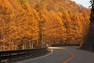 九游官网-C?	驒q缑b-b?軿蚗9(粖骞村鏆戞槸鍑狅拷019锟藉嚑aa86)